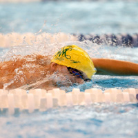 swimming sqthumb.jpg